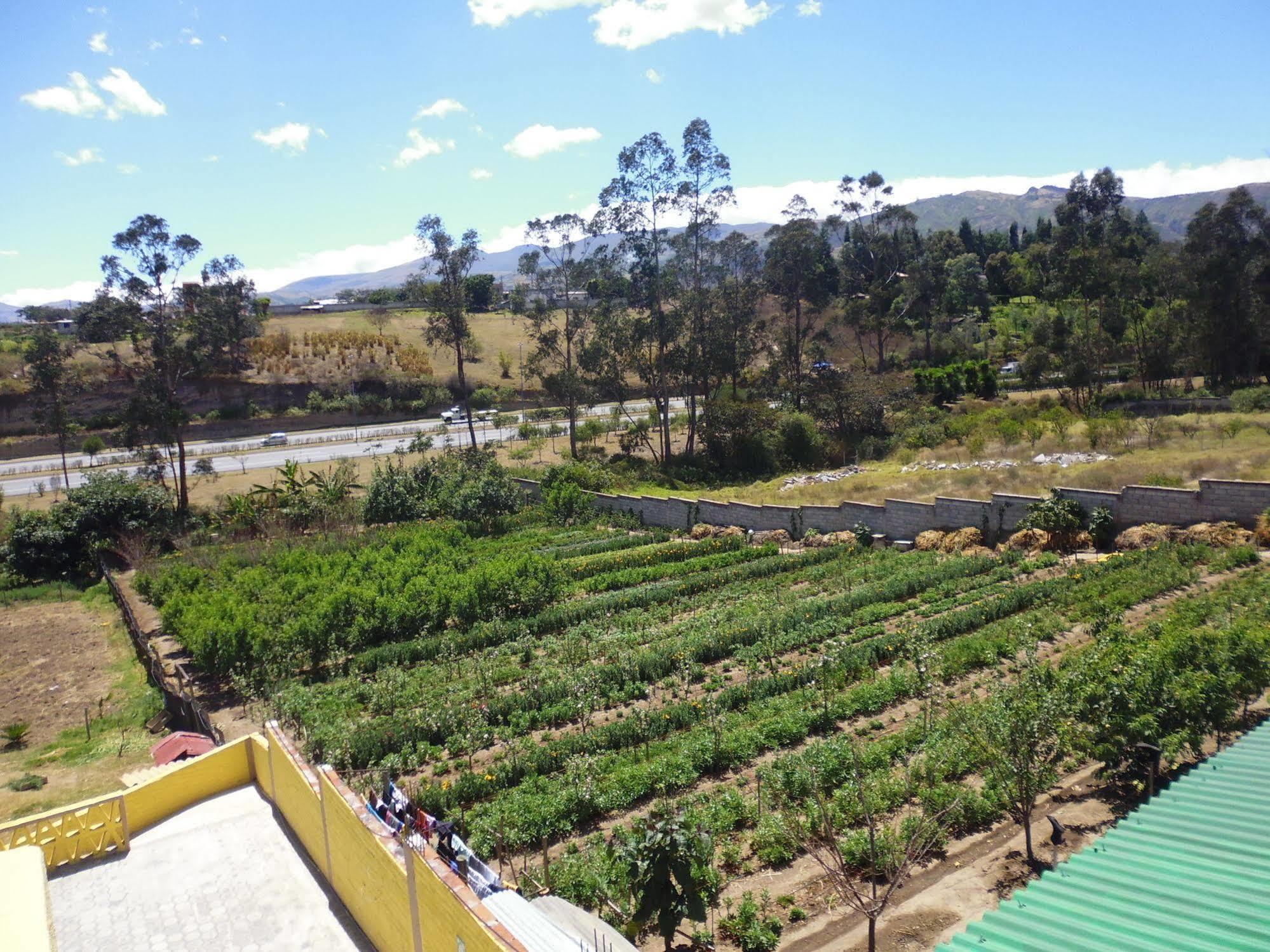 Hotel Residencial El Viajero Табабела Экстерьер фото